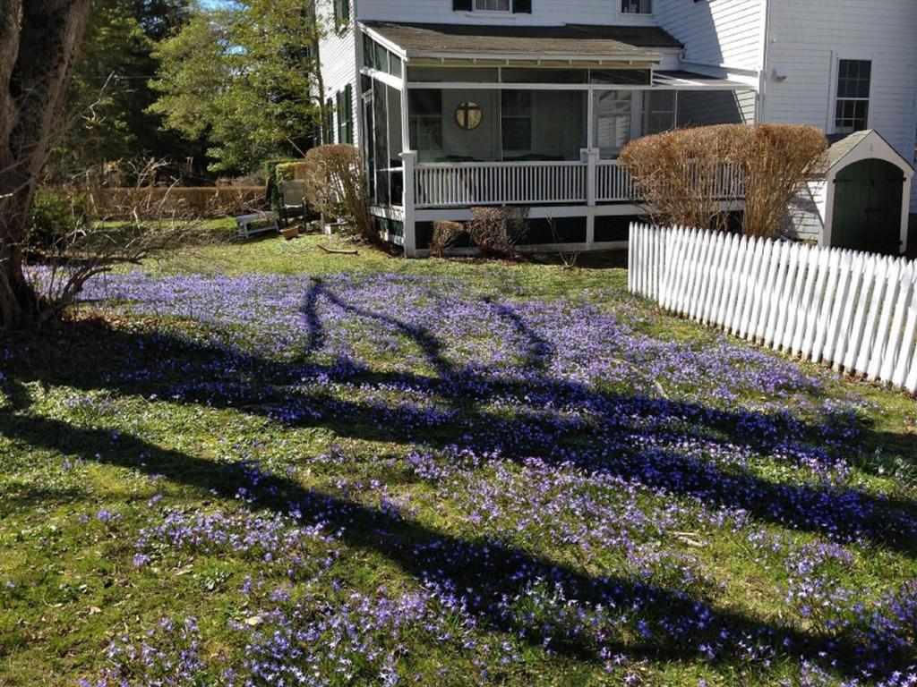 Yarmouth Port Village Inn المظهر الخارجي الصورة