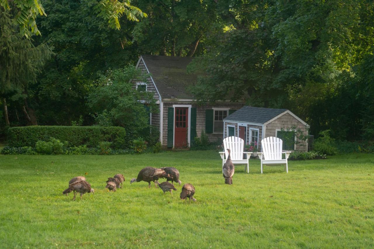 Yarmouth Port Village Inn المظهر الخارجي الصورة